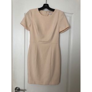 Blush ‘Black Halo’ Jodee Sheath Dress - NWT